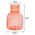 thumbnail image 1 of Indoor Plant Pots 13.5 cm x 10 cm x 5.5 cm Transparent Hydroponic Plastic Flower Pot With Water Storage Capacity For Desktop And Living Room Use, 1 of 8