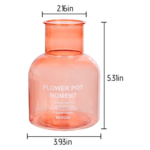 Indoor Plant Pots 13.5 cm x 10 cm x 5.5 cm Transparent Hydroponic Plastic Flower Pot With Water Storage Capacity For Desktop And Living Room Use