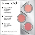 thumbnail image 4 of L'Oréal Paris True Match™ Blush, 6 g, 4 of 7