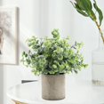 thumbnail image 2 of GUOOL Mini Potted Plants Gray Pulp Pot Small Plastic Greenery Bonsai Artificial Potted Desmodium, 2 of 9