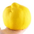 thumbnail image 2 of toy Squishy Half Fresh Lemon Slow Rising Key Chains Stress Fruit Ballchain Charm Toy, 2 of 5
