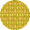 thumbnail image 1 of Ahgly Company Tapis d'Intérieur Ronds Transitionnels Jaunes Lavables à la Machine, 4 Pieds Rond, 1 of 7