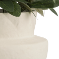 thumbnail image 3 of Bouclair Green Olive Plant in Ceramic Pot, 3 of 6