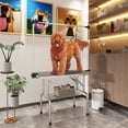 thumbnail image 2 of PawHut Table de Toilettage pour Chien Réglable avec 2 Élingues de Sécurité, Gris, 2 of 10