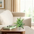 thumbnail image 5 of Mainstays 10in Indoor Artificial Plant in Pot, Green Color Calathea, 5 of 5