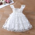 thumbnail image 2 of QIPOPIQ Robe pour Tout-Petits Bébés Filles Broderies Floral Été Bord de Mer Plage Robe d'Été une-Pièce Ensembles Liquidation, 2 of 9