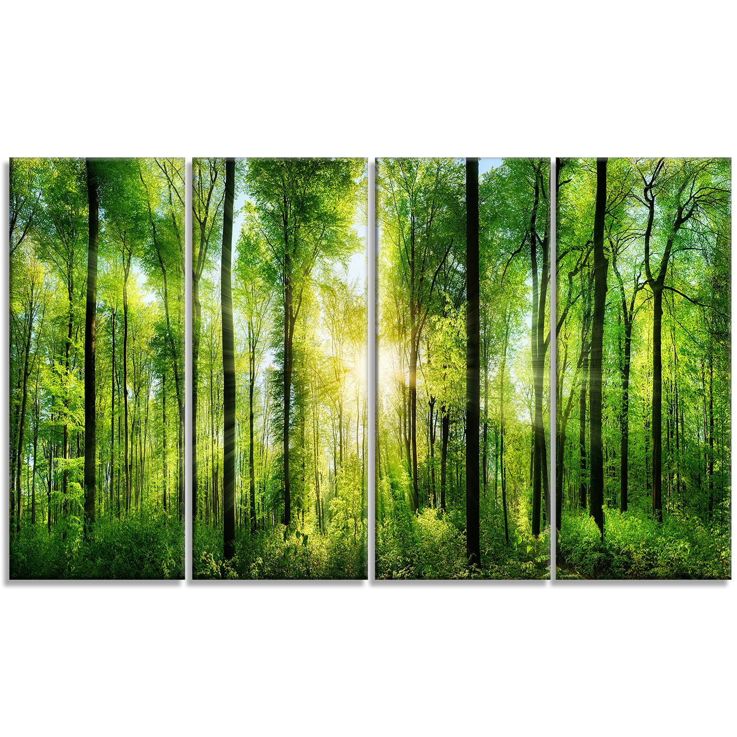 Tableau à toile imprimée Design Art Paysage Panorama Forêt avec rayons de soleil