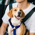 thumbnail image 3 of Binwennn Car Pet Belt Dog Car Leash Cute Pet Car Adjustable Rope Rope No Dogs Leash Sleeve Dog Leash Leather Training Leashes for Large Breed Dogs berry Dog Leash Dog Leash with Two Handles Dog, 3 of 4
