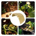 thumbnail image 3 of Large Reptile Hideout Cave,Resin Rock Hides  Decor Lizard Box Shelter Tortoise Basking Terrace Pet Terrarium  Decoration For Gecko,Spiders, 3 of 8