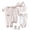Multicolour, variant on AJIWYH Teen Girl Clothes,8PCS Baby Boy Girl Tops+Hat+Pants +Bib+Sock Shose+Romper Outfits Set Baby Receiving Blanket Set Multicolor,One Size