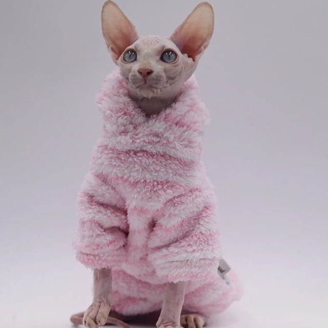 Vêtements pour Chat Sans Poils Doux et Chauds, Chandail à Capuchon pour Chat pour Sphynx, Devon Rex, Cornish, Peterbald