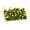 Evening Primrose, variant on Tachiuwa Realistic Flower Cluster Model Railway Fairy Garden Architecture Landscape Grass