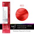 thumbnail image 2 of Ion Permanent Brights Creme Hair Color Red Red, 2 of 5