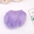 thumbnail image 1 of EGNMCR Dreamcatcher 100pc Colorful Feathers 6-12 Cm In Small Feather DIY Decoration The simulation feathers, 1 of 2