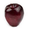 thumbnail image 1 of MYG Artificial Fruits Simulated Plastic Fruit Model Decoration For Home Kitchen Tabletop Decor Kids Toy Orange Peach Pear Watermelon, 1 of 7
