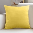 thumbnail image 4 of Dvruxg Velvet Throw Pillow Covers 16x16 Inch - Soft Square Decorative Cushion Cover for Couch, Sofa, 4 of 5