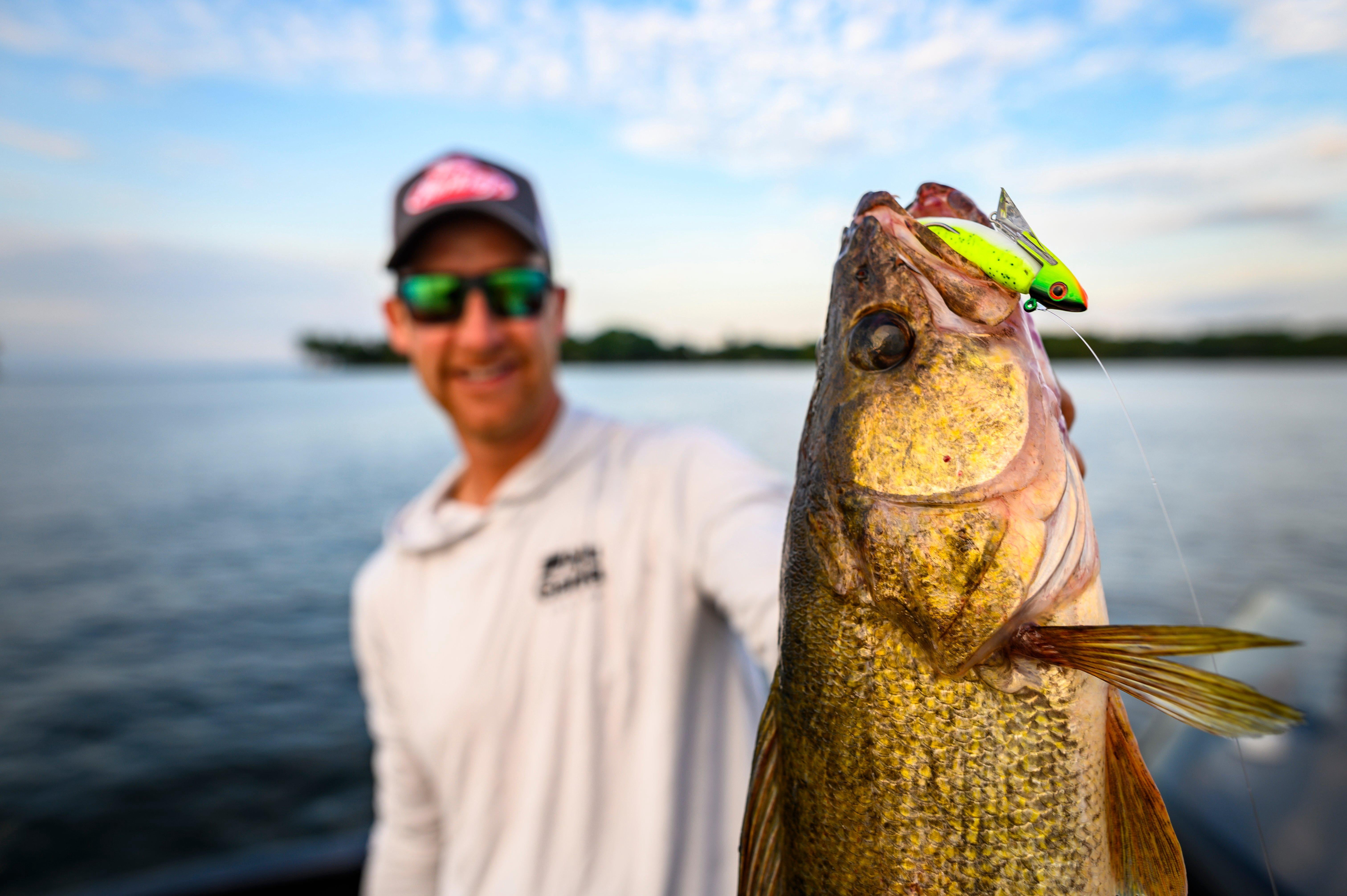Berkley Gulp Minnow