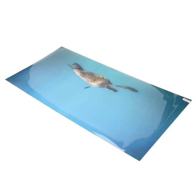 3D Aquarium Background Poster, Fish Backdrop Decorative Pictures, PVC Adhesive Underwater Coral Static Decoration Paper Cling Decals Sticker