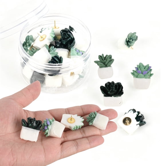 HUIANER 20 Pcs Épingles à Pousser pour Succulentes en Boîte, Pointes de Pouce Décoratives et Mignonnes pour Panneau de Liège, Fournitures pour la Maison et le Bureau