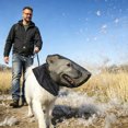 thumbnail image 4 of Outdor For Dogs Field Net Guard Hood For Thorns Rocks Face Guard For Hiking Outdoor Adventures, 4 of 6