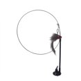 thumbnail image 3 of Birdeem Suction Cup Teaser Adsorption Handheld Wire Single Head Double Head Feather Replacement Head Set Pet Toys, 3 of 5
