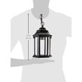 thumbnail image 3 of Une Lanterne Suspendue Extérieure Légère, 3 of 3