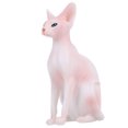 thumbnail image 4 of Gupbes Modèle de Chat Modèle de Chat Sans Poils, Enfants Exquis pour les Enseignants Beaux Collectionneurs de Cadeaux, 4 of 8