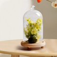 thumbnail image 3 of veasfak Cloche en Verre Transparent Support Multifonctionnel pour Maison Bureau 9x12cm, 3 of 9