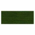 thumbnail image 1 of DMC Six-Strand Cotton Embroidery Floss 8 m (8.7 yd) Green, 1 of 5