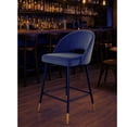 thumbnail image 5 of Plata Décor Import Inc – Luxurious Akira Bar Velvet Stool in Grey, 5 of 5