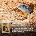 thumbnail image 2 of Exo Terra Sable Désertique pour Terrarium, Jaune, 10 lb (4.5 kg), 2 of 4