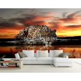 thumbnail image 4 of 3D Wallpaper Tiger Wall Mural SKU# WAL0195, 4 of 8