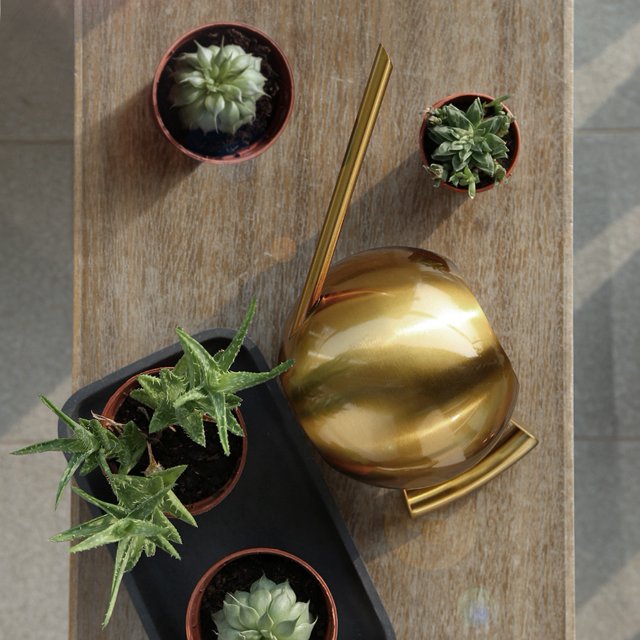 Seau d'Arrosage, Arrosoir Robuste Résistant à l'Usure, Plantes en Pot Pelouse Maison Extérieur Or