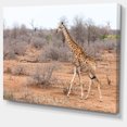 thumbnail image 2 of Girafe Marchant à Travers la Forêt Africaine - Impression sur Toile d'Animal, 2 of 4