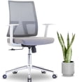 thumbnail image 1 of MotionGrey - AeroMesh Ergonomic Office Chair-Comfy Airy Mesh Back Support with Adjustable Armrests-Desk Computer Chairs Perfect for Home Gaming and Offices - White, 1 of 6