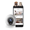 thumbnail image 1 of MOBI® PET Camera Monitoring System - Smart HD WiFi Pet Camera and Pet Monitoring System - Dedicated PET App, 1 of 8