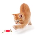thumbnail image 3 of 2PCS Fake Feather Cat Toy Interactive Cat Ball Toy Cat Playing Toy for Christmas, 3 of 10