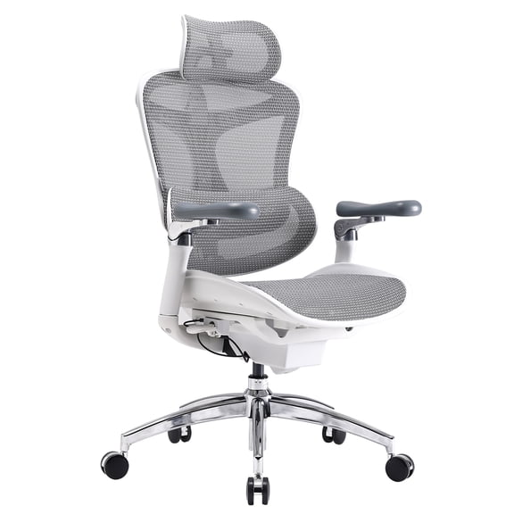 SIHOO Doro C300 Pro Ergonomic Office Chair with 6D Armrests, Dynamic Lumbar Support, Seat Depth Adjustment and Adjustable Backrest, Big and Tall Desk Chair for Home Office (Gray)