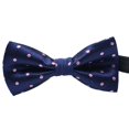 thumbnail image 1 of Cravate Formelle à Motif Coloré pour Hommes, Adulte, Homme, Réunion d'Affaires, Cravates pour Hommes, Nœud Papillon Coloré, Mariage, Nœud Papillon en Fil de Polyester, 1 of 7