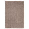 thumbnail image 1 of HomeRoots 352653 Tapis Beige en Polyester 5 x 7 Pi, 1 of 1