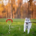 thumbnail image 5 of TopLLC Outdoor Decorations Tie Out Stake For Dogs Secure And Dog Stakes For Outdoor Activities And Training Fixed pile, 5 of 5