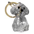 thumbnail image 4 of Dog Hair Collector Keychain Charm Memorial Storage Box Pet Hair Memorial Keepsake Transparent Cute Keychain, 4 of 6