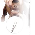 thumbnail image 3 of Plaque Tartar Remover Scraper  Cleaning Tool Pet Tooth Cleaner, Pet Teeth Scraper, Stainless Steel Dog Teeth Cleaner Dog For Pet, 3 of 8