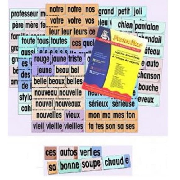 Poster Pals French Adjective Cards and Reproducible Book