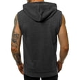 thumbnail image 3 of Men's Solid Color Sleeveless Zip-Up Hooded With Pockets Sleeveless Top(Dark Gray,S), 3 of 6