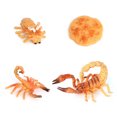 thumbnail image 2 of 1 Ensemble de Modèle de Ver à Bêche Matériau Plastique de Qualité Figurines d'Insectes Significatives Modèles Éducatifs Précoces de Croissance pour Projet Scolaire scorpion type 1, 2 of 6
