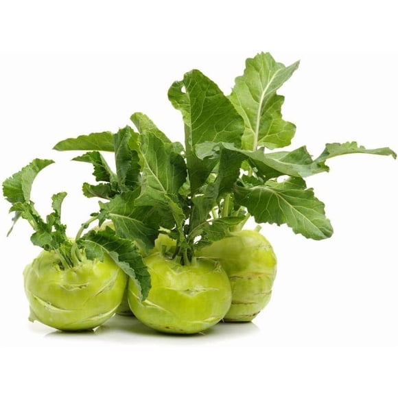 GSDWIUEW Kohlrabi Giant Seeds, Heirloom Vegetable, 750+ Seeds, Garden Growing