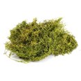 thumbnail image 1 of 1 lb Preserved Spanish Moss - Light Green, 1 of 5