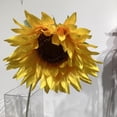 thumbnail image 3 of 24" TOUNESOL, 3 of 3