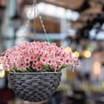 thumbnail image 4 of Flowers Artificial for Decoration,Flowers for Decoration Simulation Violet Artificial Flowers Outdoor Protection Artificial Flowers Garden Decoration Artificial Flowers, 4 of 4